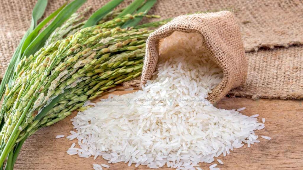 برنج یکی از راه های چاق شدن برای افراد لاغر